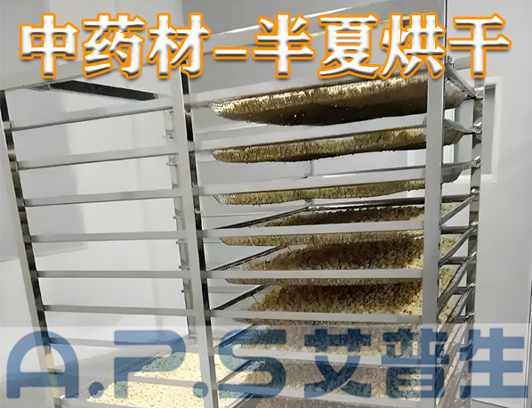 中藥材半夏烘干，除了傳統(tǒng)的烘干方法，首選推薦使用艾普生空氣能熱泵烘干機(jī)
